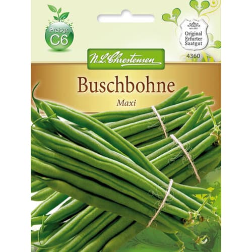 1 szt, Buschbohne Maxi Chrestensen - Samen: Ilość w opakowaniu: 1 Stück
