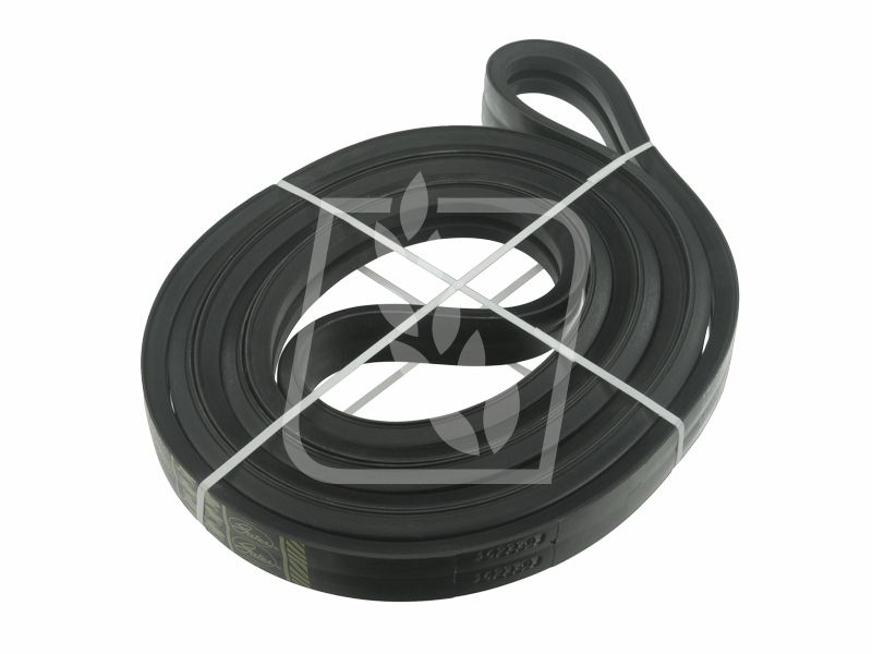 Pas zespolony 1423393