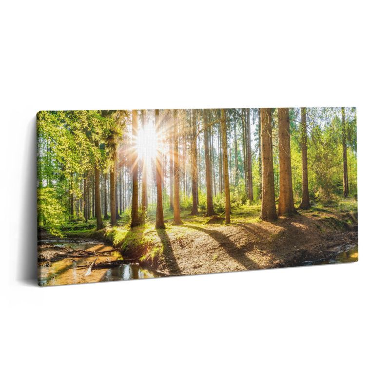 Obraz na płótnie Wallfluent 140x70 cm Słońce za drzewami w lesie 1 szt.