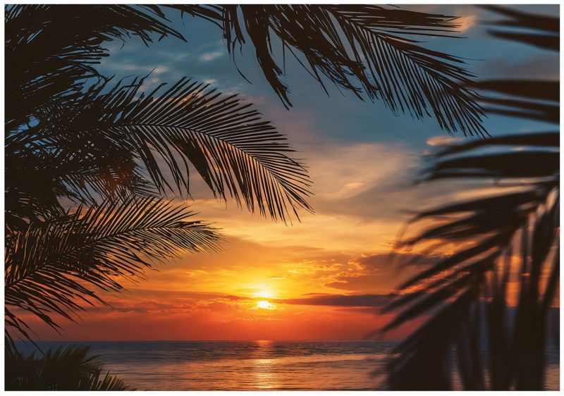 Fototapeta WALLARENA Do Sypialni Salonu Na Flizelinie Plaża Palmy Natura 250x175 cm Tapeta Ścienna 1 szt.