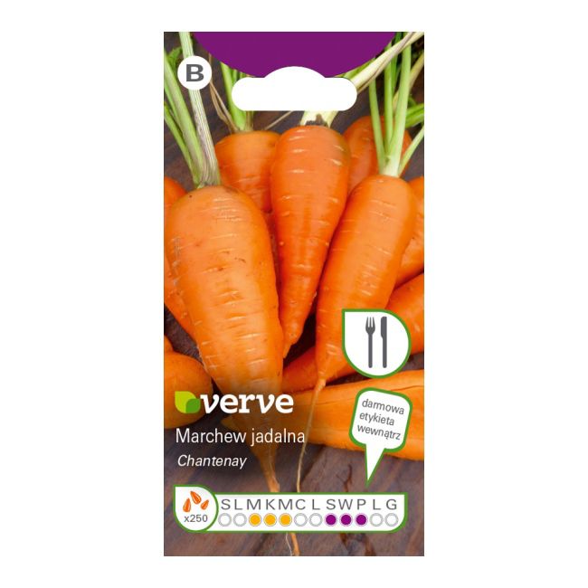 Nasiona marchew Chantenay Verve