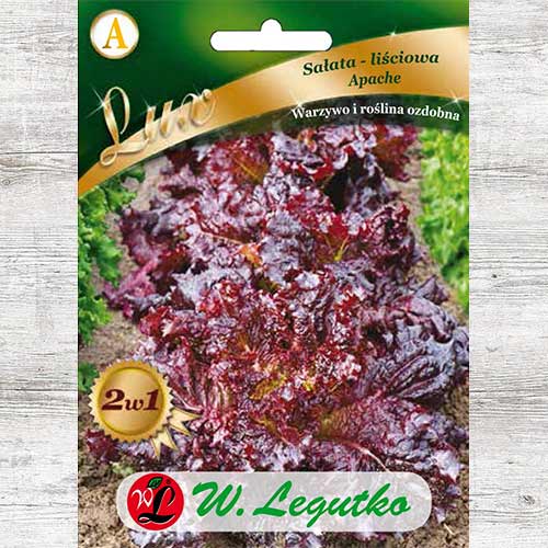 1 szt, Sałata liściowa Apache Legutko - Nasiona: Ilość w opakowaniu: 1 g