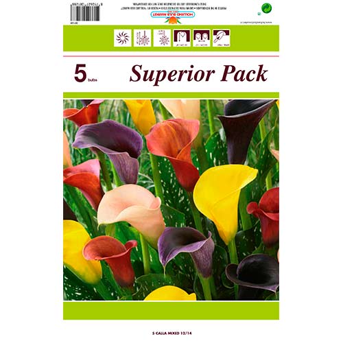 5 buc, Cală mix multicolor - Bulbi: Mod de ambalare: 5 buc