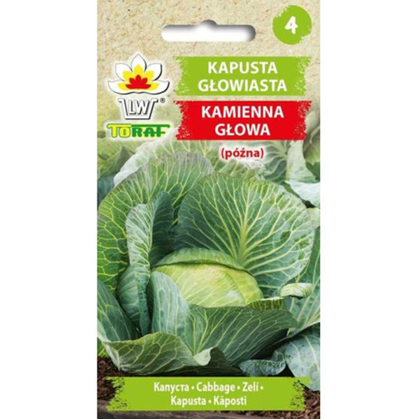 Nasiona Kapusta Głowiasta Biała Kamienna Głowa 2g