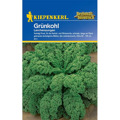 1 ob, Kapusta kadeřavá Lerchenzungen - : Monžstvo balíkov: 1 ob