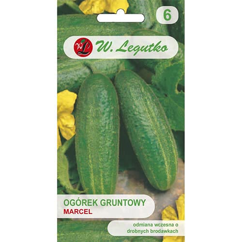 1 szt, Uborka Marcel F1 - Magok: Mod de ambalare: 5 g