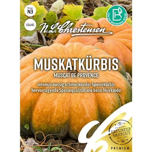 1 szt, Kürbis Muscat de Provence - Samen: Ilość w opakowaniu: 1 Stück