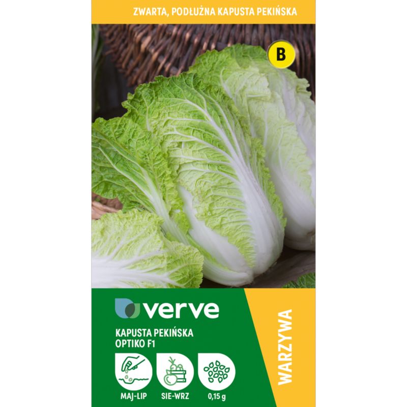 Nasiona kapusta chińska Verve