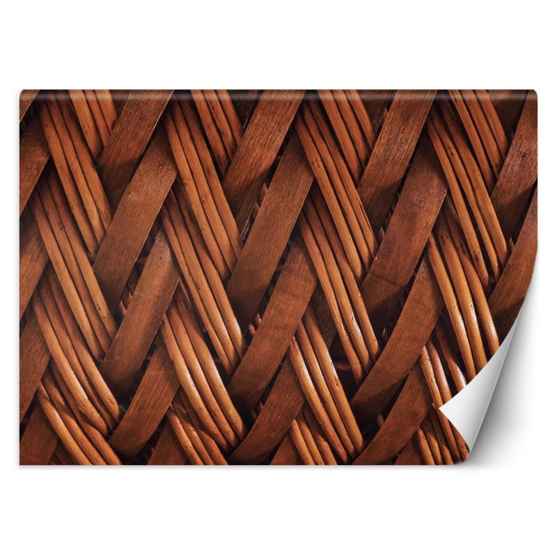 Fototapeta Feeby Splot wikliny 3D 150x105 1 szt