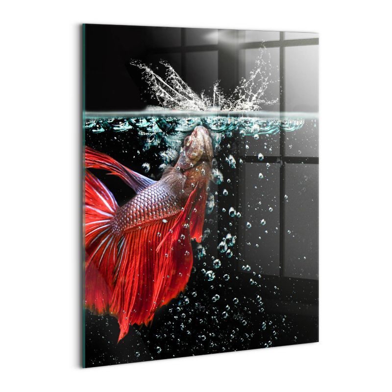 Szklany Obraz Ścienny Wallfluent 60x80 cm Ryba w akwarium 1 szt.