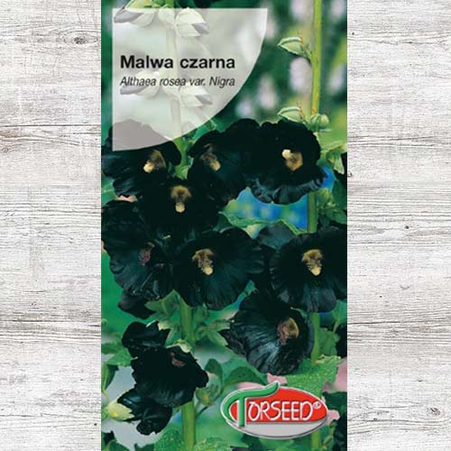 1 szt, Nasiona Malwa czarna - Nasiona: Ilość w opakowaniu: 1 g