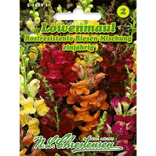 1 szt, Lwia paszcza, mix kolorow - Nasiona: Ilość w opakowaniu: 700 szt.