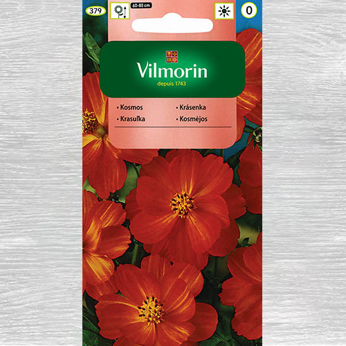 1 szt, Kosmos siarkowy (Onętek) Diablo - Nasiona: Ilość w opakowaniu: 1 g