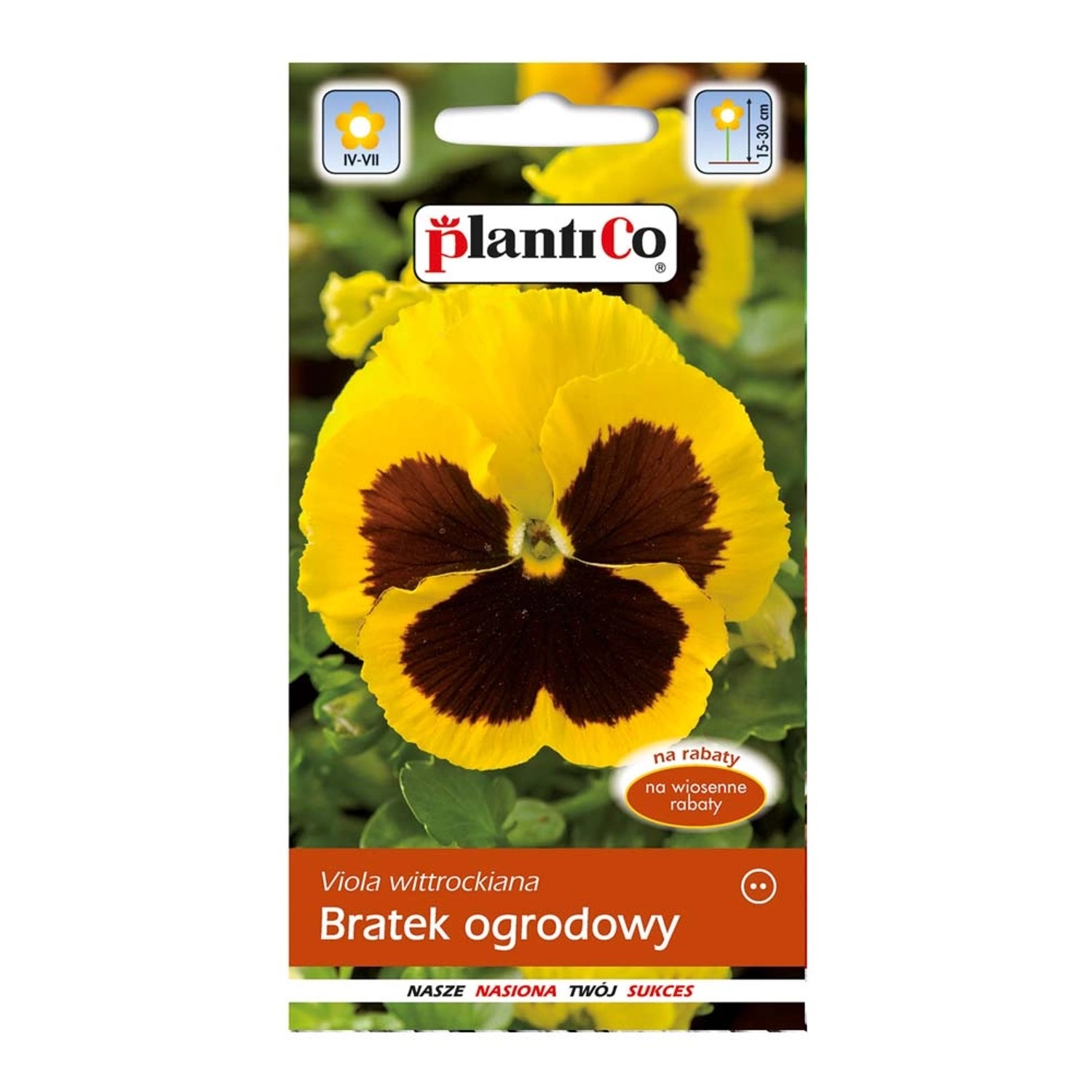 Bratek ogrodowy żółty