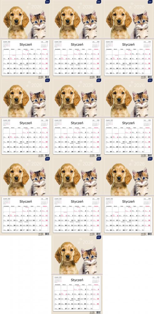 10x Kalendarz ścienny 2026, Interdruk, jednodzielny, 32x50cm, Zwierzaki