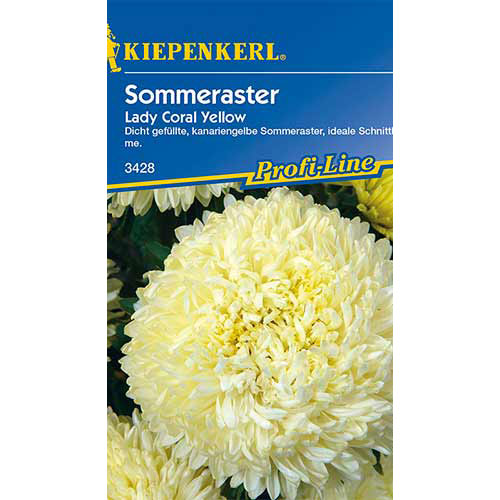 1 pac, Ochiul boului Lady Carol Yellow Kiepenkerl - Semințe: Mod de ambalare: 1 pac