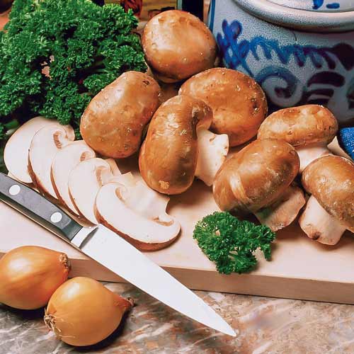 1 pac, Champignon Brun - : Mod de ambalare: 60 ml