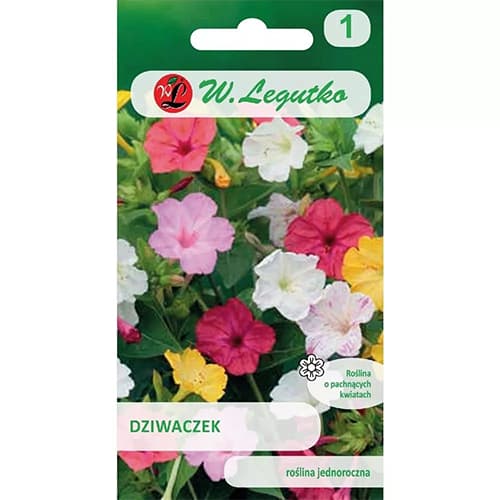 1 pac, Frumoasa nopții (Mirabilis jalapa) mix multicolor - Semințe: Mod de ambalare: 2 g