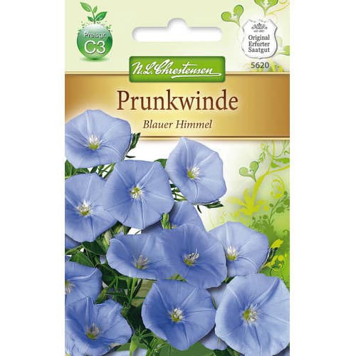 1 pac, Zorele (Ipomea) Blauer Himmel - Semințe: Mod de ambalare: 1 pac