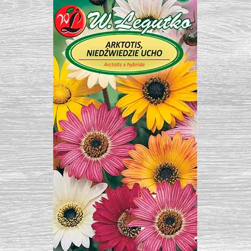 1 pac, Margaretă africană, mix multicolor Legutko - Semințe: Mod de ambalare: 0.5 g