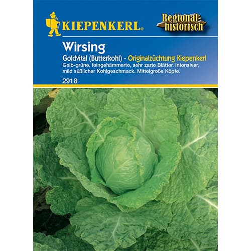 1 szt, Butterkohl Wirsing Goldvital - Samen: Ilość w opakowaniu: 1 Stück