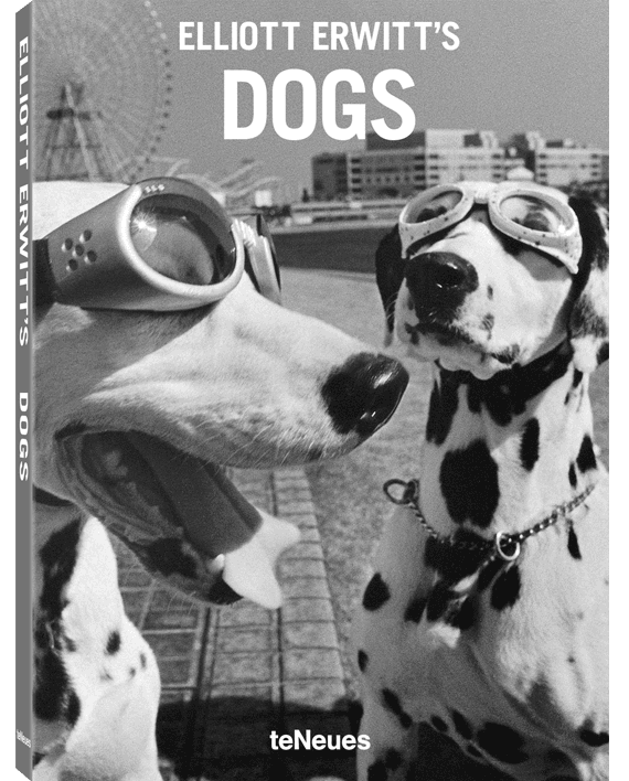 Elliott Erwitt's Dogs