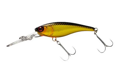JACKALL wobler Soul Shad DDR 62SP HL Gold & Black