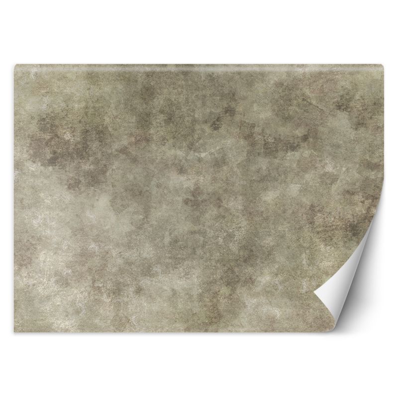 Fototapeta Feeby Kamienna ściana 254x184 1 szt