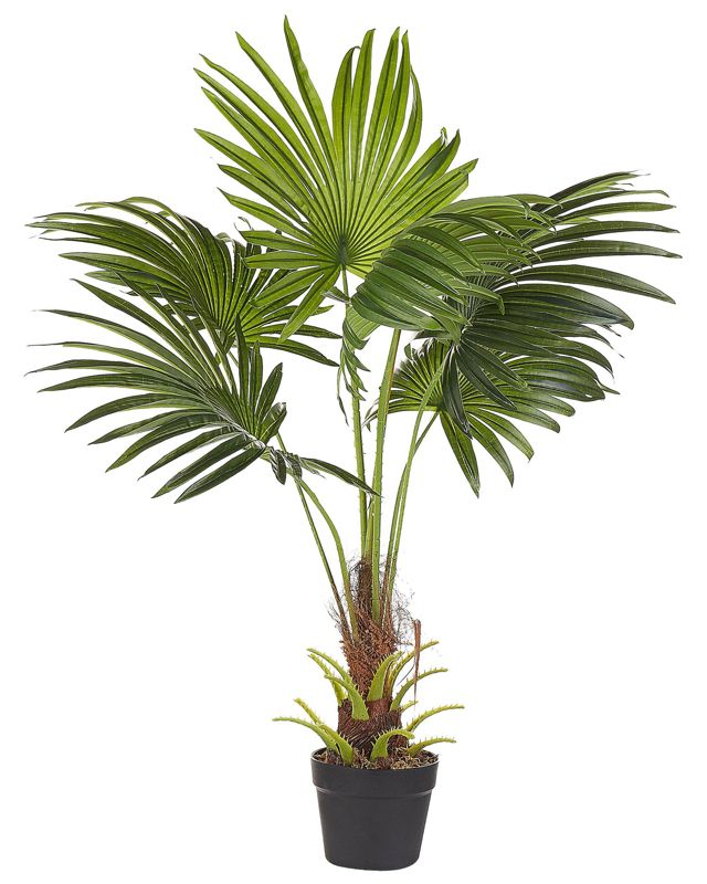 Sztuczna roślina Fan palm Zielony 1 szt.