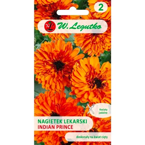 1 szt, Nagietek Indian Prince - Nasiona: Ilość w opakowaniu: 2 g