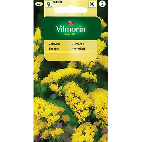 1 szt, Zatrwian wrębny, mieszanka Vilmorin - Nasiona: Ilość w opakowaniu: 0.2 g