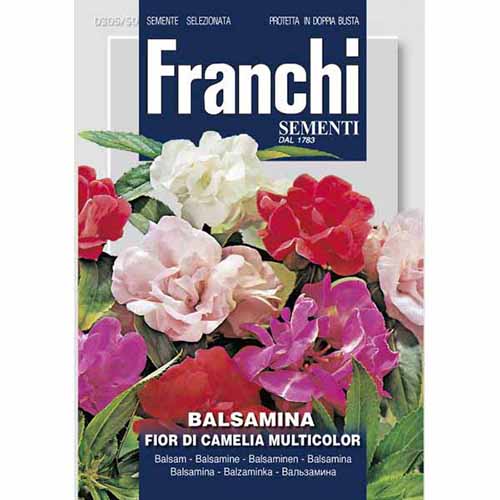 1 szt, Niecierpek balsamina kameliowy, mieszanka kolorów Morami - Nasiona: Ilość w opakowaniu: 1.5 g