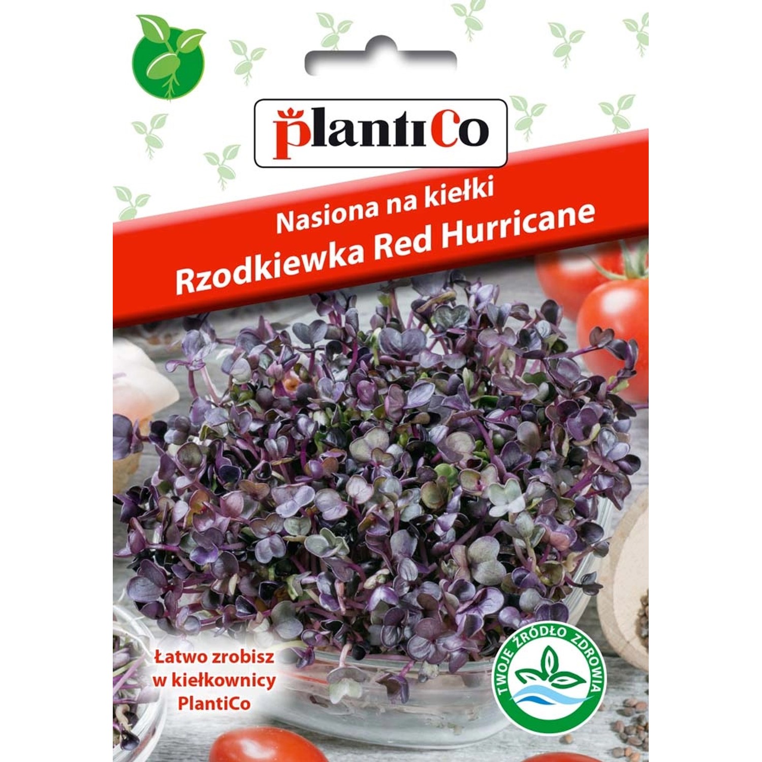 Nasiona na kiełki rzodkiewka czerwona