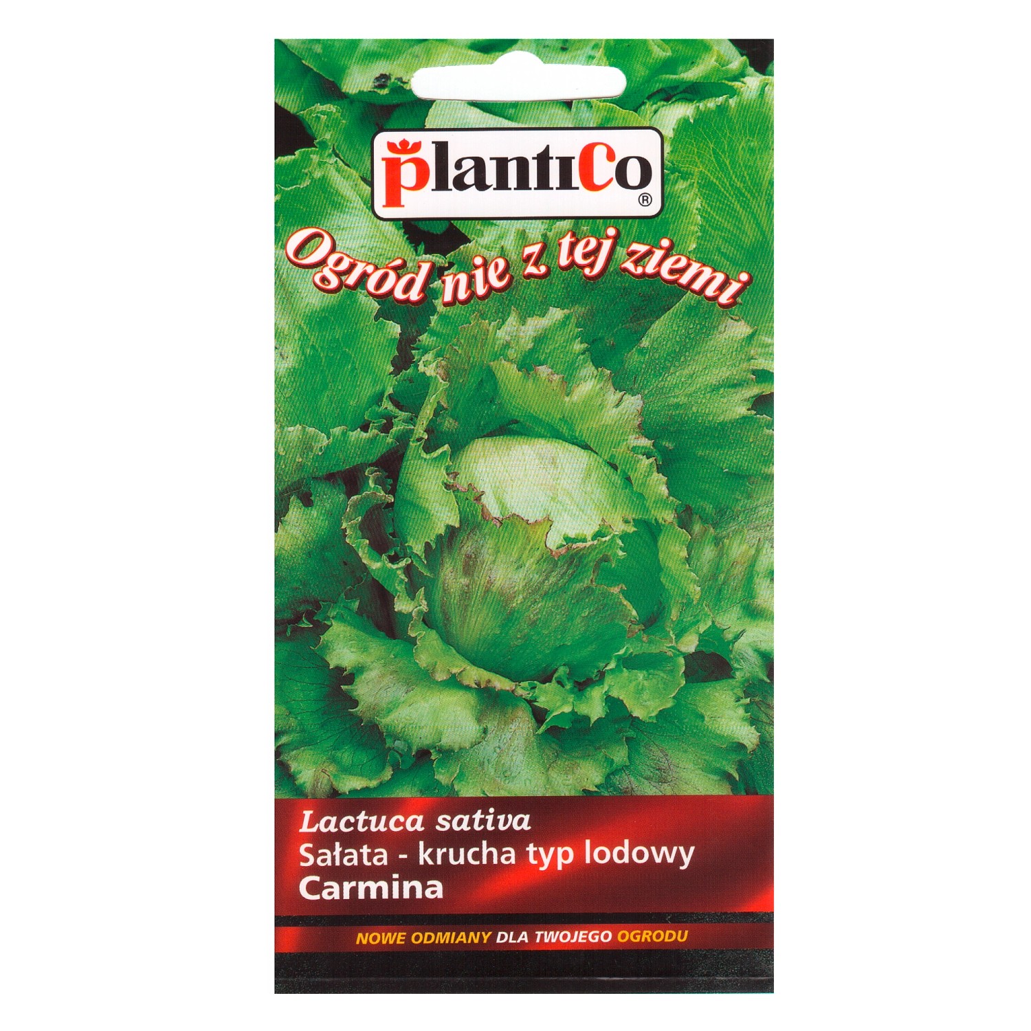 Sałata krucha gruntowa Carmina - 0,2 g