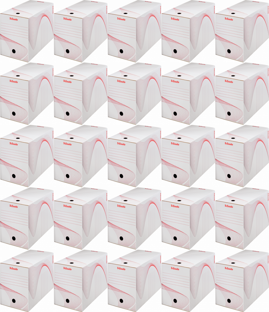 25x Pudło archiwizacyjne Esselte Standard, 200 mm, biały