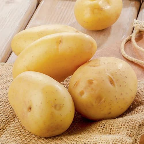 1 kg, Cartofi de sămânță Jelly - Tuberculi: Mod de ambalare: 1 kg