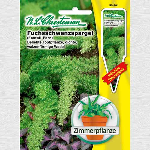 1 pac, Asparagus Coada Vulpii - Semințe: Mod de ambalare: 1 pac