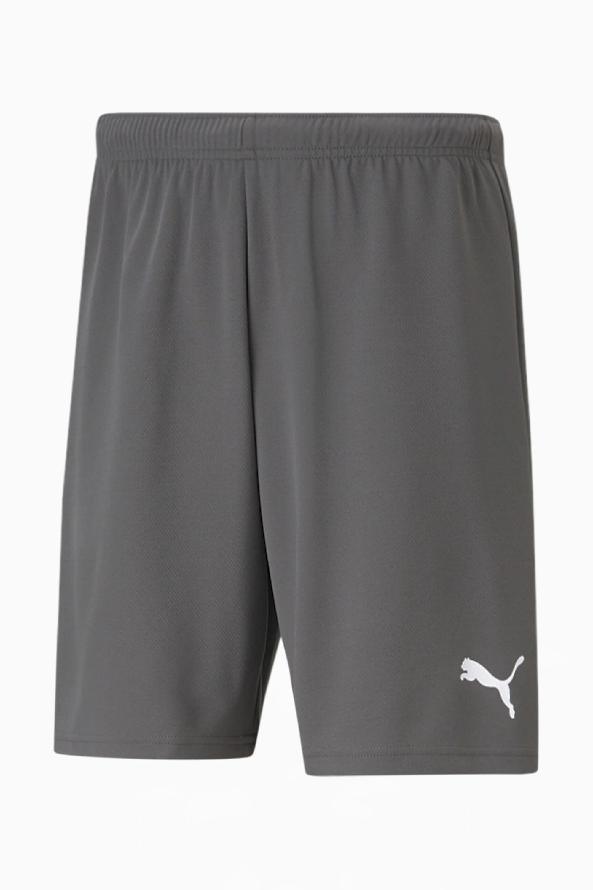 Spodenki Puma teamRISE - Szary
