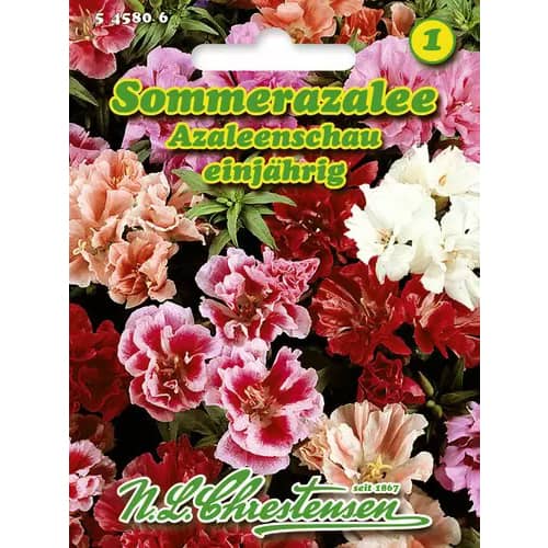 1 ob, Lokanka mnohokvětá (Azalka letní), směs - : Monžstvo balíkov: 1 ob