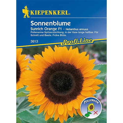 1 szt, Sonnenblume Sunrich Orange, F1 - Samen: Ilość w opakowaniu: 1 Stück