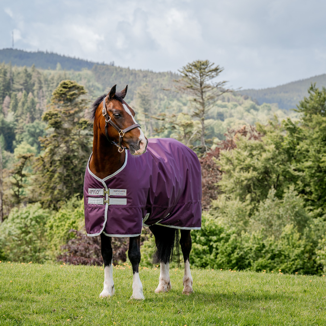 Horseware Horseware derka padokowa Amigo Hero Ripstop 50g 24h