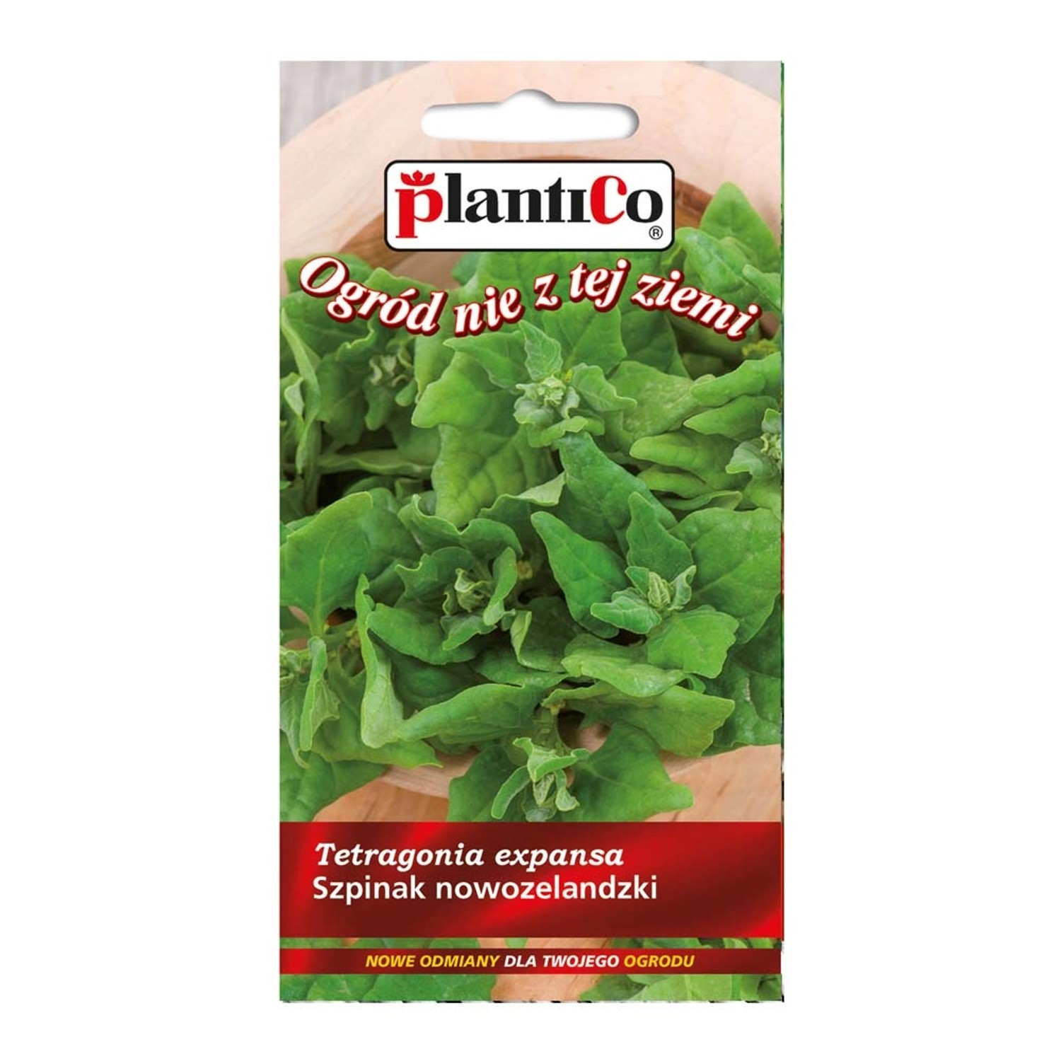 Szpinak nowozelandzki