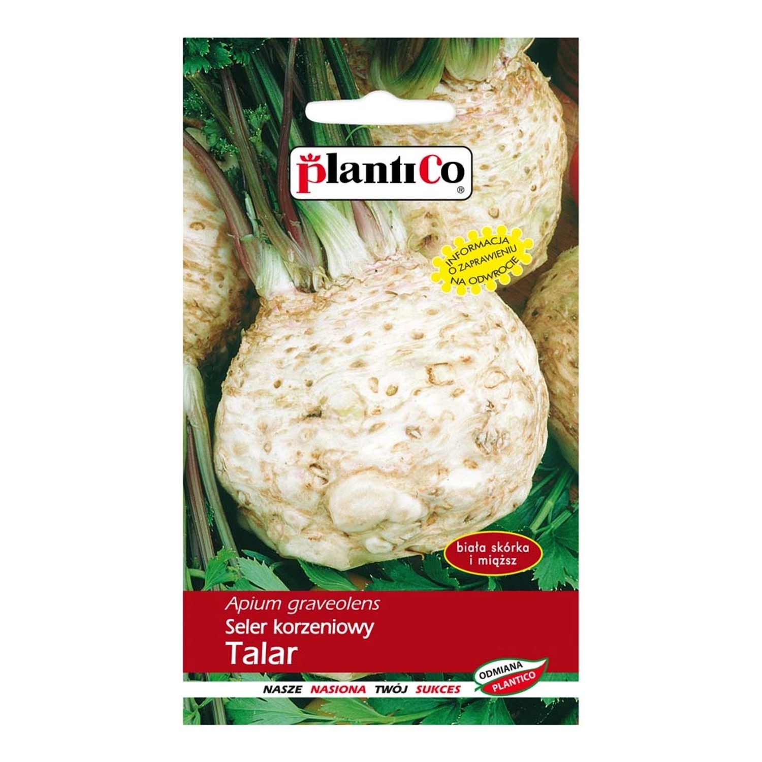 Seler korzeniowy Talar