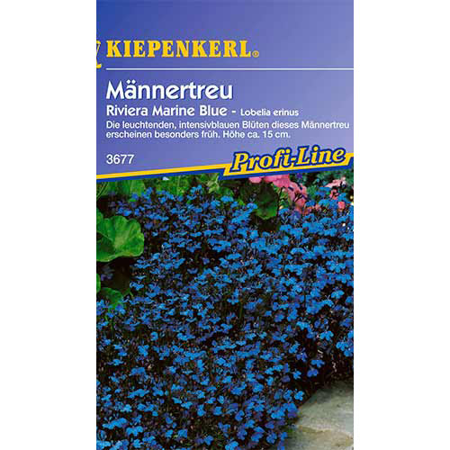 1 pac, Lobelia pitică Riviera Marine Blue Kiepenkerl - Semințe: Mod de ambalare: 1 pac