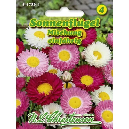 1 pac, Flori de paie Sun Wing, mix multicolor - Semințe: Mod de ambalare: 1 pac