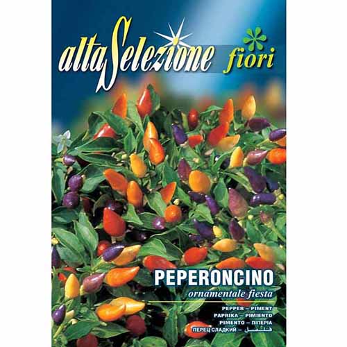 1 szt, Csípős dísz paprika Fiesta - Magok: Mod de ambalare: 1 db