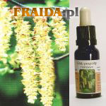 Grab pospolity - Żywotność