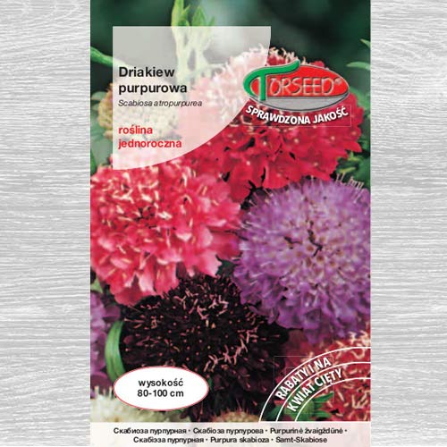 1 szt, Driakiew purpurowa, mieszanka - Nasiona: Ilość w opakowaniu: 1 g