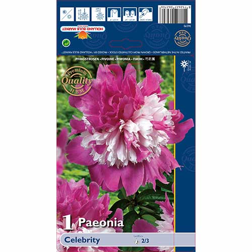 1 kus, Pivoňka Celebrity - : Monžstvo balíkov: 1 kus