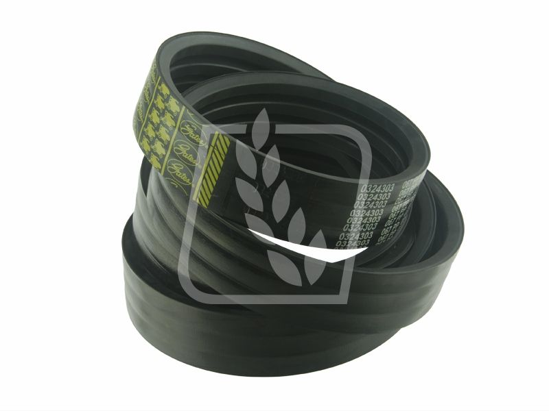 Pas Gates 0324303 0324303